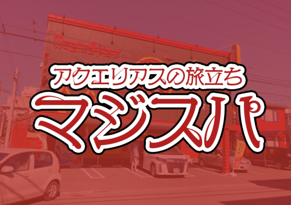 札幌スープカレーマジックスパイス